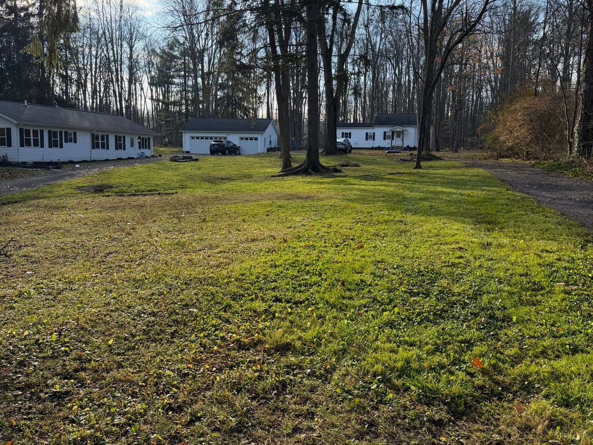 Fall leaf cleanup — After