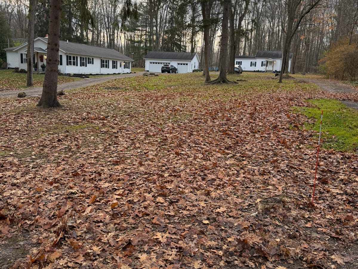 Fall leaf cleanup — Before