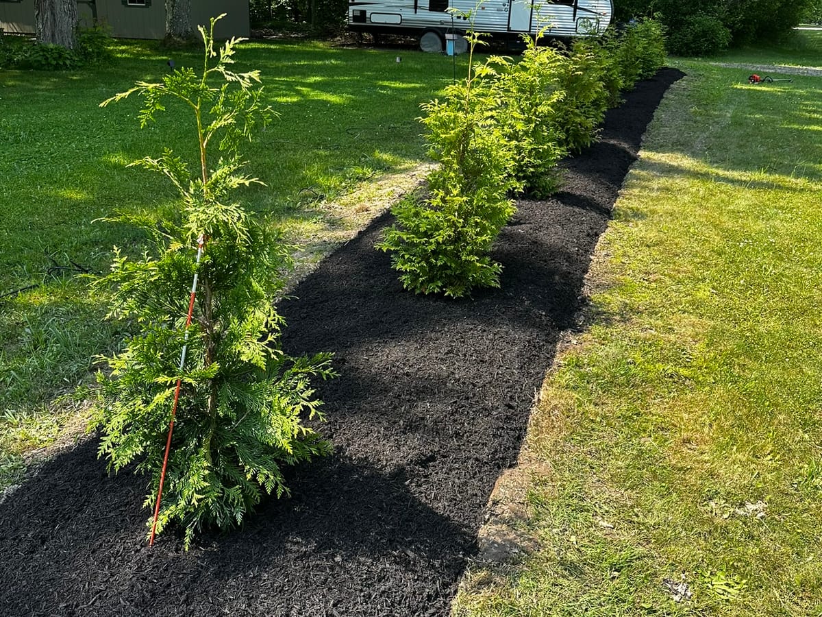 Fresh mulch installation — After