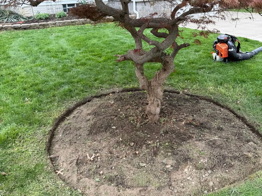 Property & seasonal cleanups