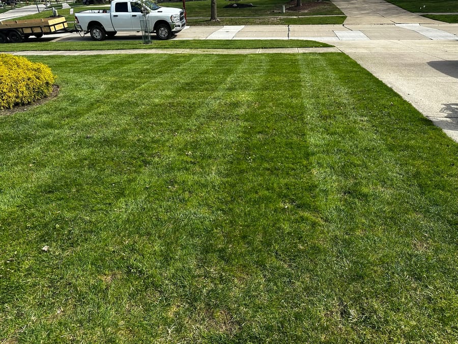 General lawn & yard maintenance