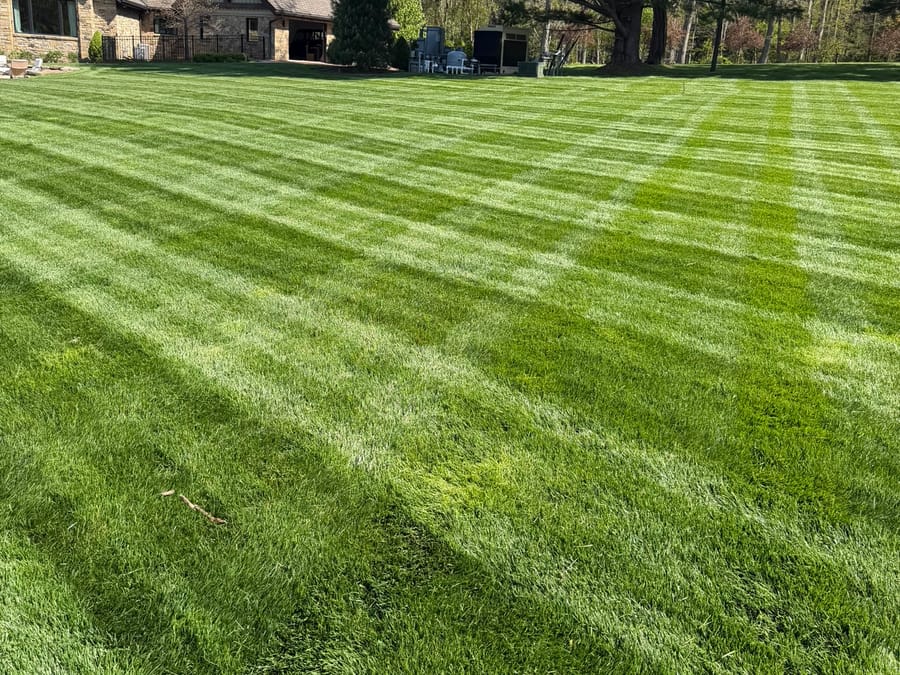 Regular lawn mowing