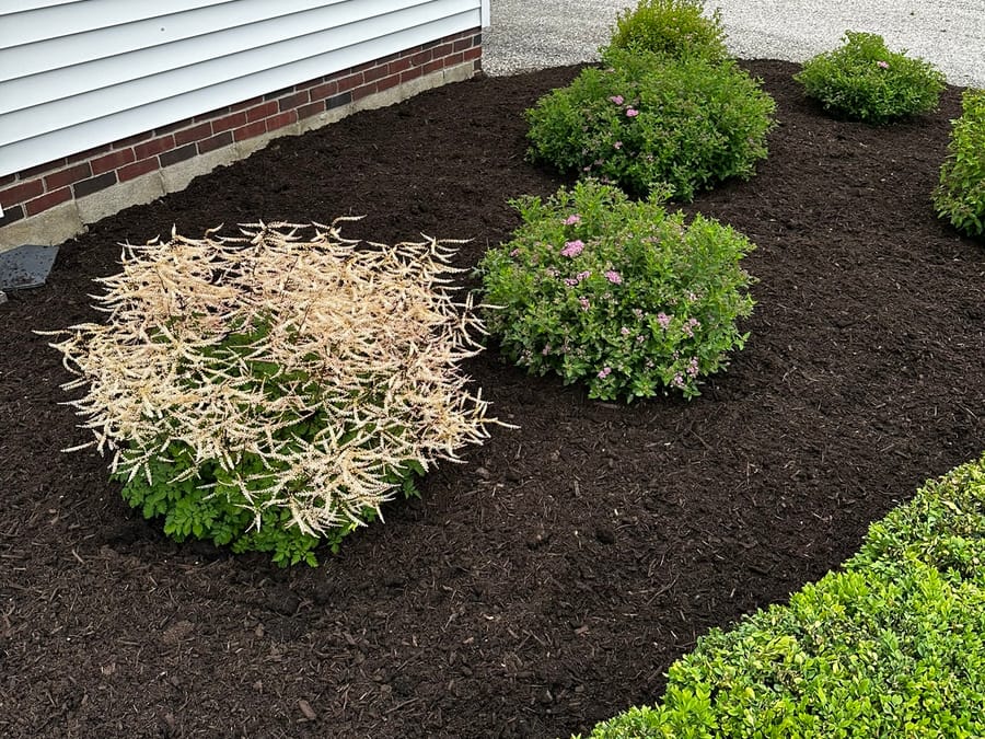 Mulch installation